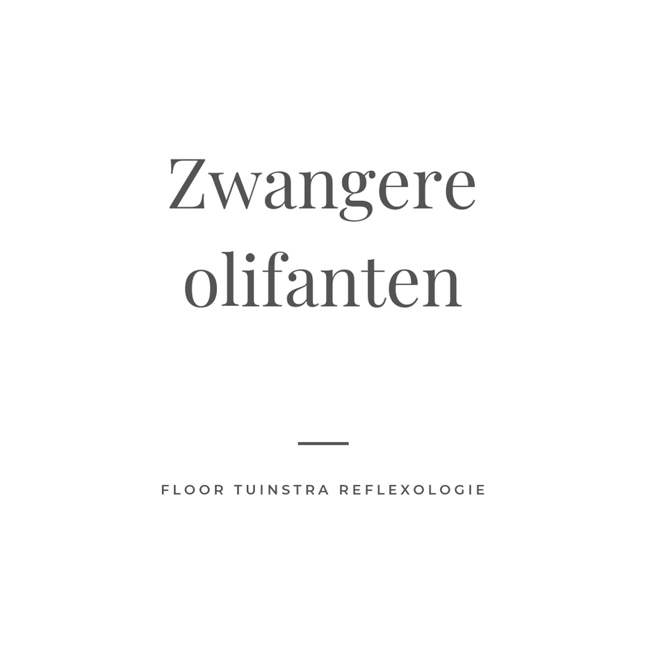 Wat hebben zwangere olifanten en Keniaanse vrouwen gemeen?