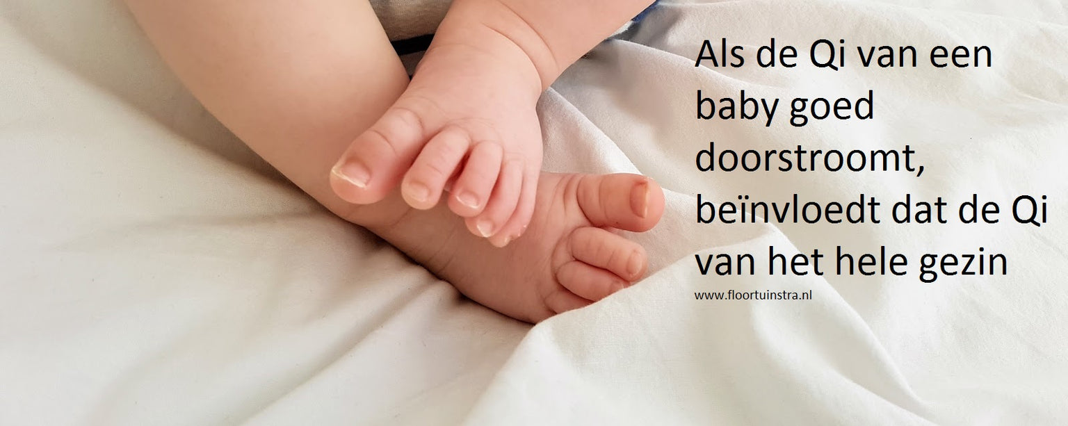 Babyreflexologie cursus opleiding goedgekeurd door Federale Raad voor de Vroedvrouwen België