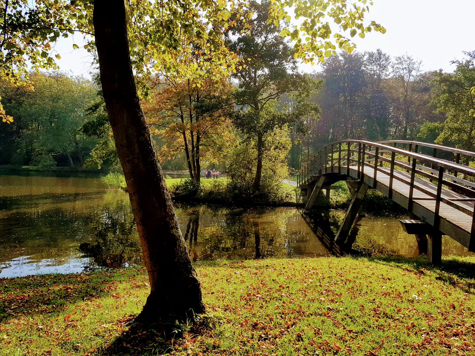 14 oriental medicine secrets for a vital autumn
